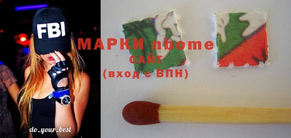 соль ск Ельня