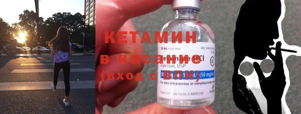 соль ск Ельня