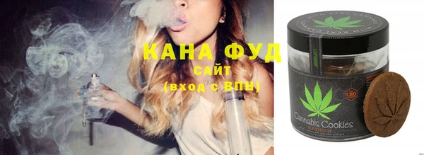 соль ск Ельня