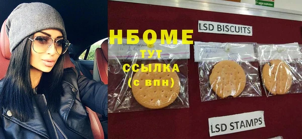соль ск Ельня