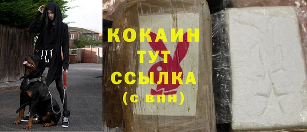 соль ск Ельня