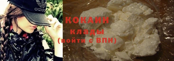 соль ск Ельня