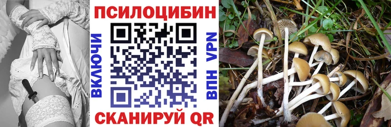 Галлюциногенные грибы Magic Shrooms  закладки  Ковдор 