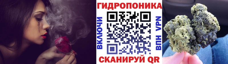 Шишки марихуана OG Kush  наркошоп  Ковдор 